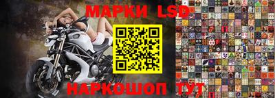 spice Заводоуковск