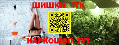 spice Заводоуковск