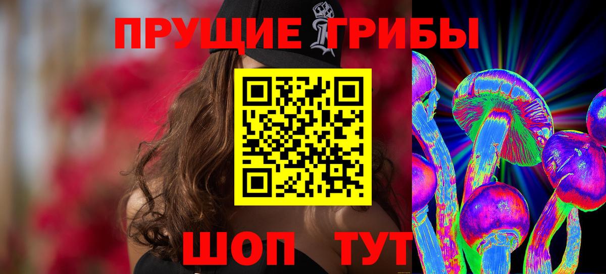 Галлюциногенные грибы Psilocybe  Вход с VPN  Домодедово 