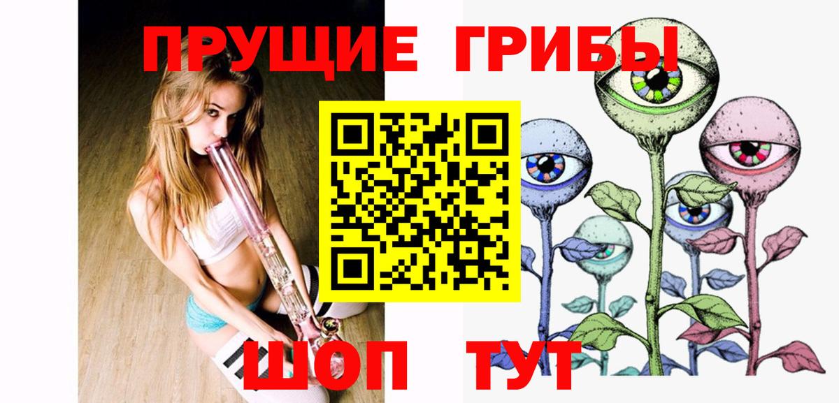 Псилоцибиновые грибы Psilocybe Домодедово